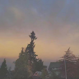 洗澡Gay军人Gay监狱
